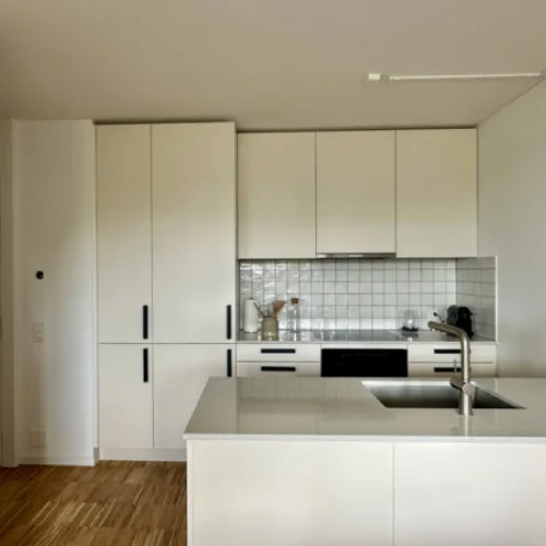 Première location à Domino Riehen | Confort de vie pour les célibataires – photo 2 sur 9