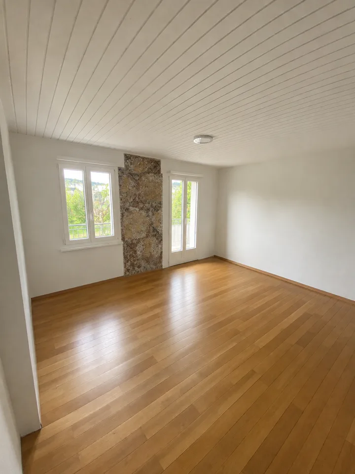 Spacious 5.5-room apartment