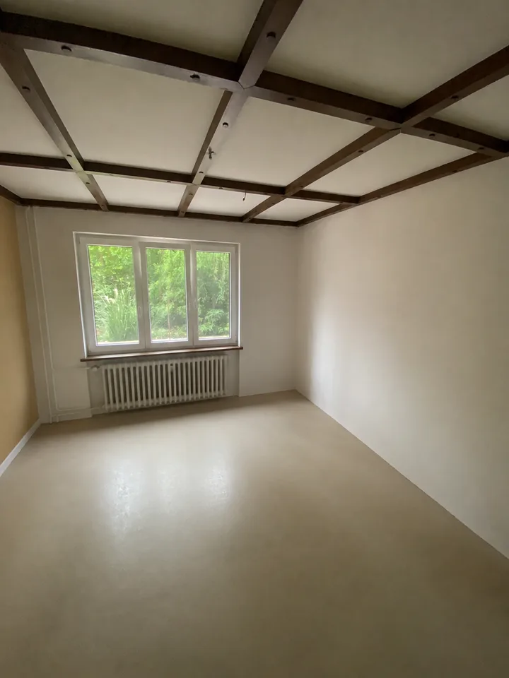 Spacious 5.5-room apartment