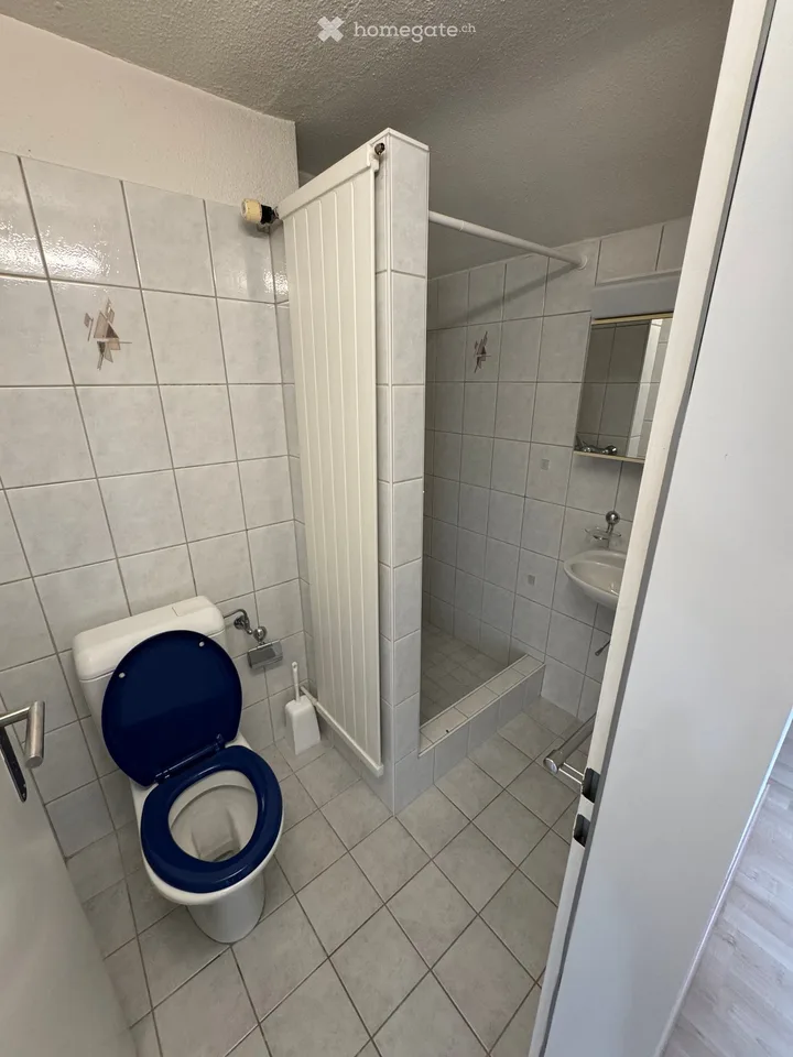 Spacious 5.5-room apartment in Nürensdorf