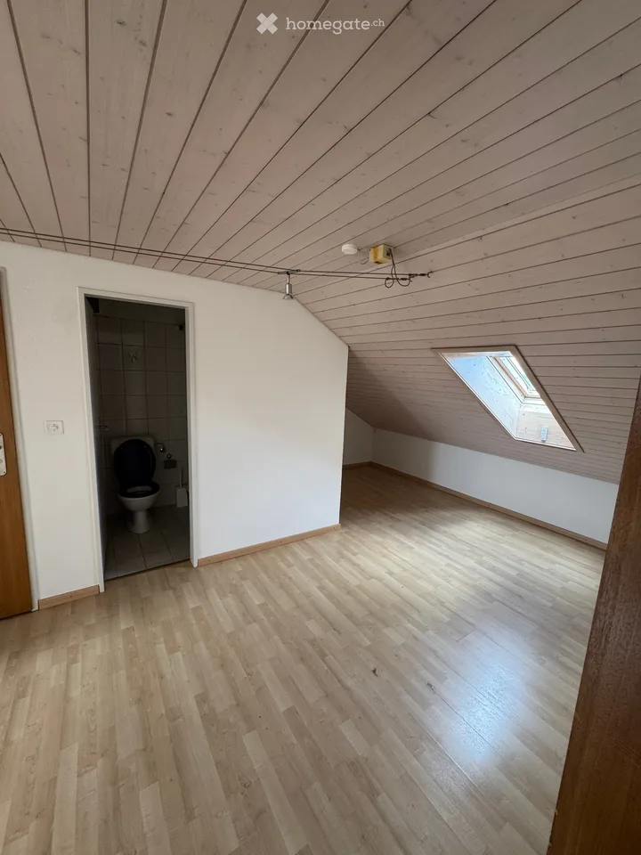 Spacious 5.5-room apartment in Nürensdorf