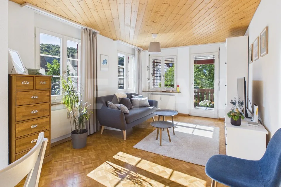 Attractive multi-family house with three residential units – photo 6 of 6