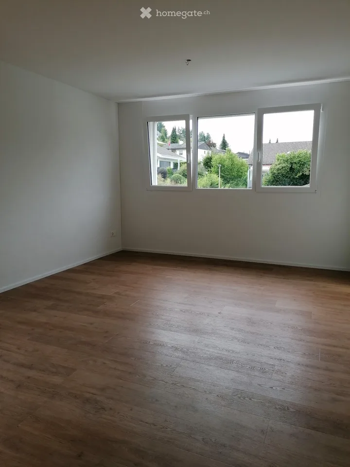 Moderne 2,5-Zimmer-Wohnung in Thürnen