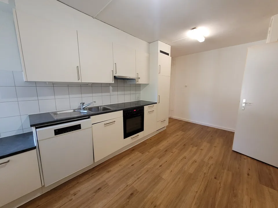 Appartement 4.5 pièces avec vue sur la montagne + entrée séparée