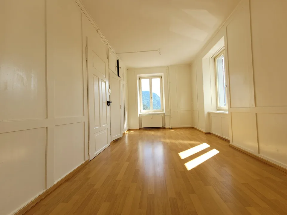 Appartement 4.5 pièces avec vue sur la montagne + entrée séparée