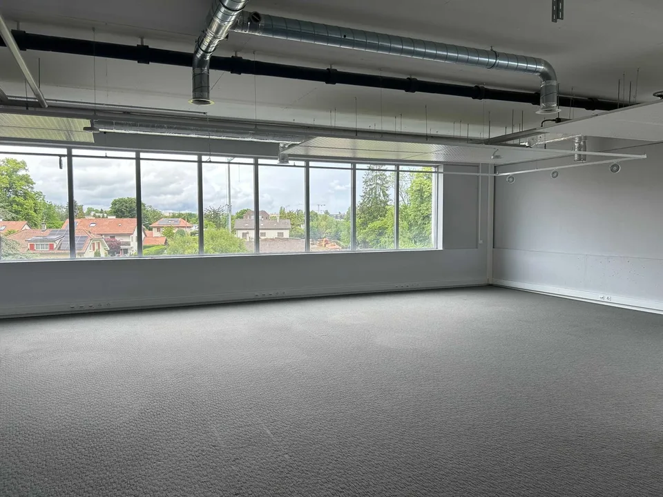 Spazio polivalente di 700 m² in affitto | Uffici & Attività Industriale Leggera | Meyrin – foto 2 di 8