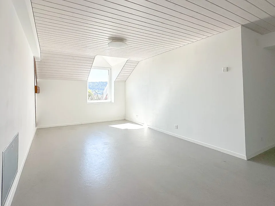 Appartement de 2.5 pièces d'env. 130 m2 au dernier étage