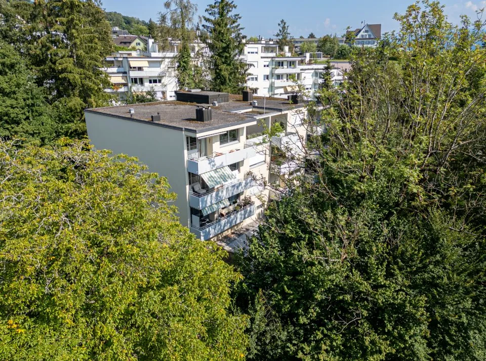Stylish living in an attractive location near Lake Zurich – photo 8 of 9