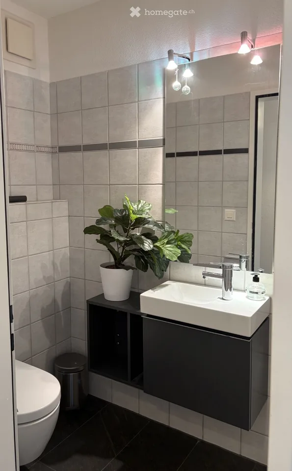 4 1/2 Zimmer-Maisonette-Wohnung im Eigentumsstandard