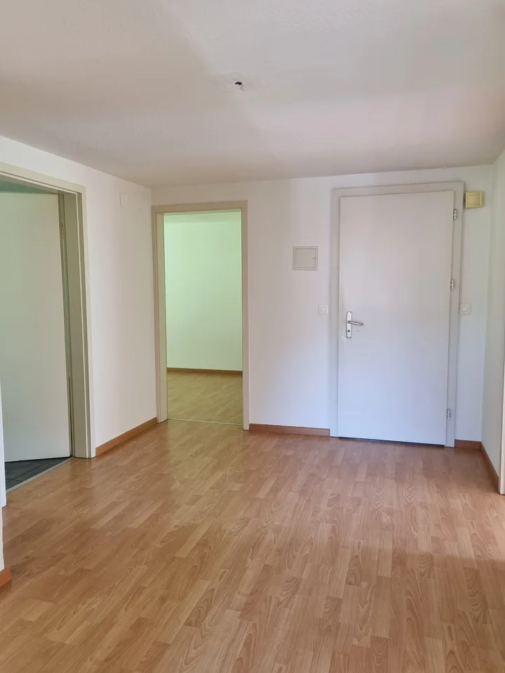 4.5 room apartment with large bathroom for rent