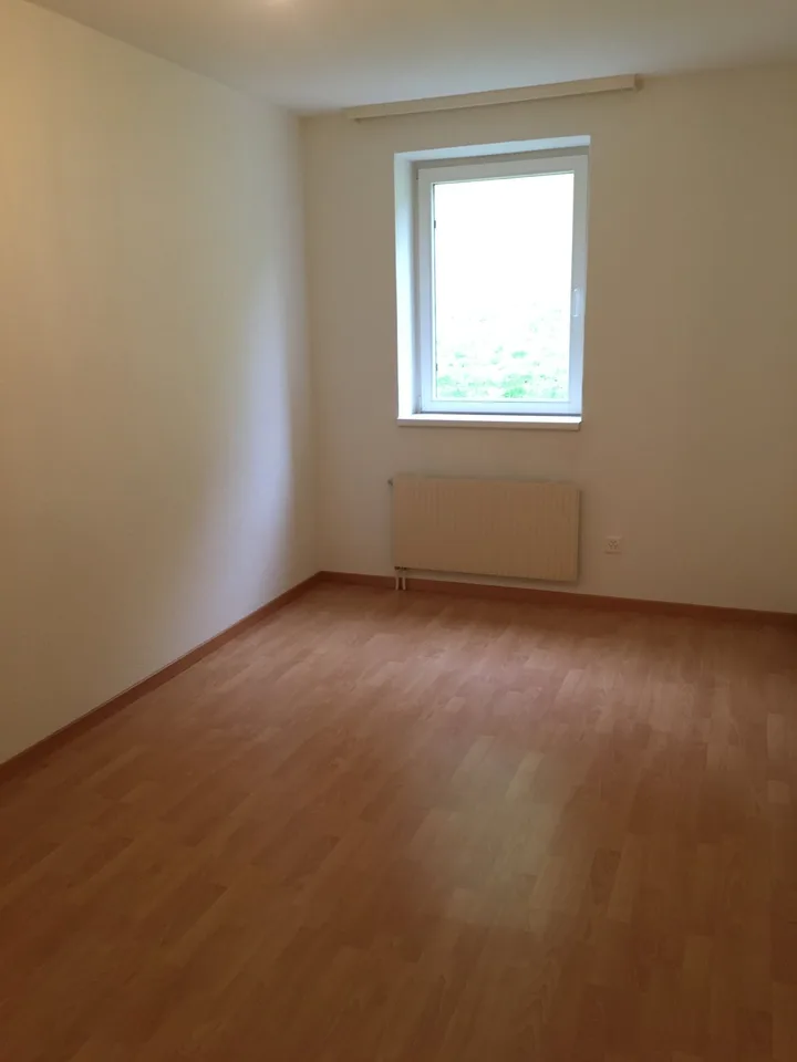 4.5 room apartment with large bathroom for rent