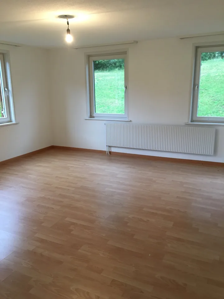 4.5 room apartment with large bathroom for rent
