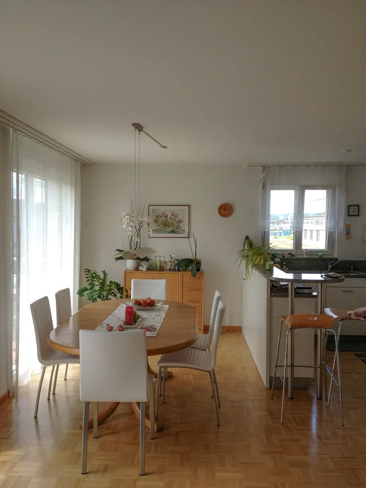 Incantevole appartamento attico di 4,5 locali con vista a Winterthur Hegi – foto 8 di 15