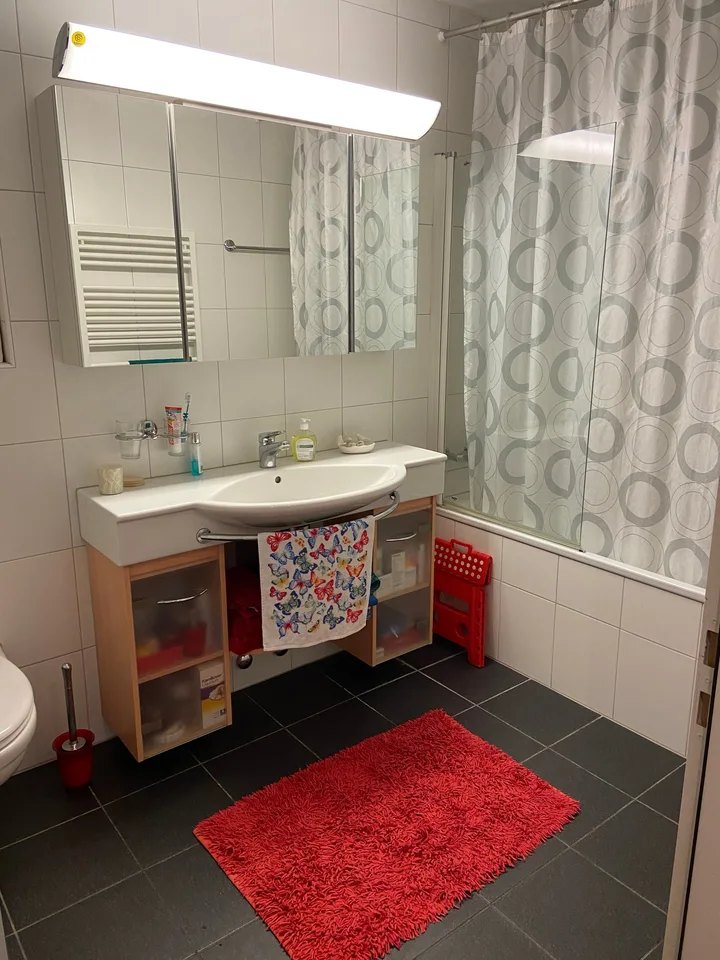 Incantevole appartamento attico di 4,5 locali con vista a Winterthur Hegi – foto 13 di 15