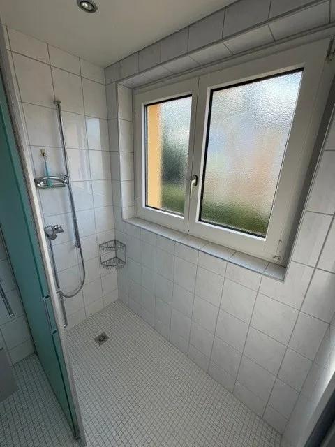 Idyllic 4.5-room apartment with balcony and garage box in Oberhasli