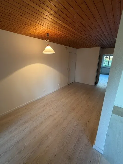 Idyllic 4.5-room apartment with balcony and garage box in Oberhasli