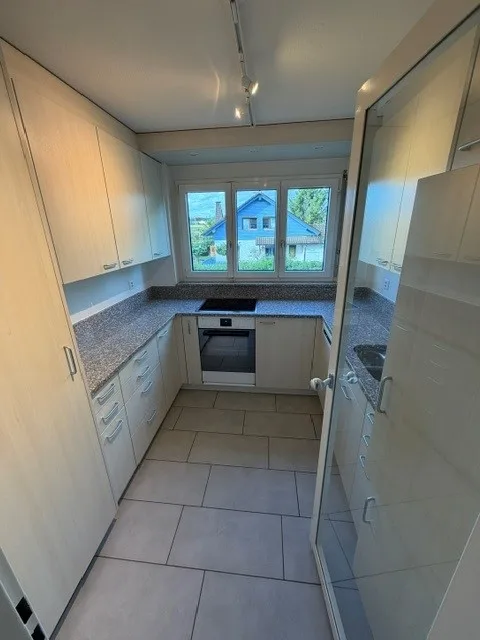 Idyllic 4.5-room apartment with balcony and garage box in Oberhasli