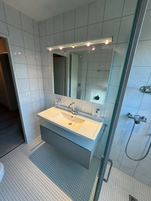 Idyllic 4.5-room apartment with balcony and garage box in Oberhasli