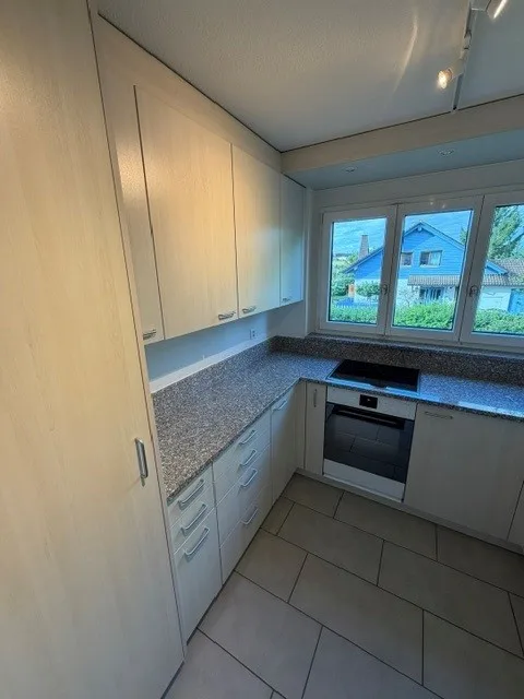 Idyllic 4.5-room apartment with balcony and garage box in Oberhasli