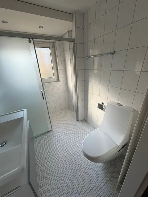 Idyllic 4.5-room apartment with balcony and garage box in Oberhasli