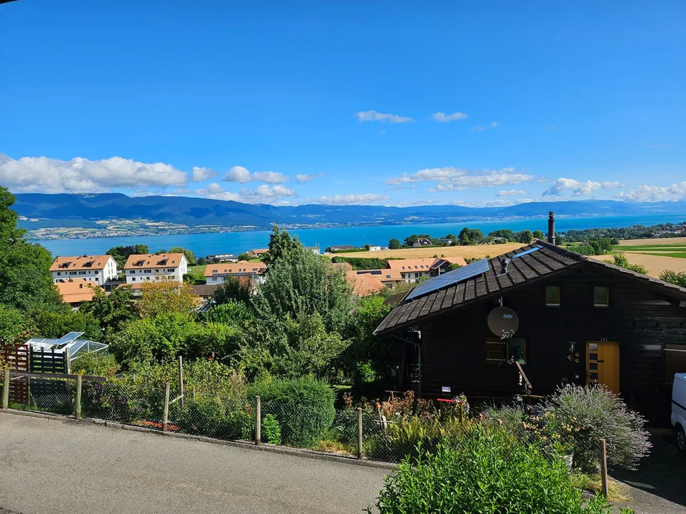 Charming furnished 2.5-room chalet in Châtillon
