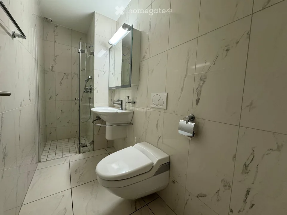 Vivere sulla Reuss a Bremgarten AG – foto 17 di 17
