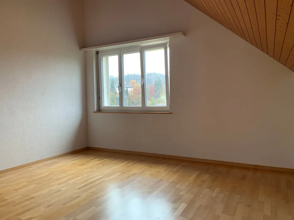 Grande appartamento di 4,5 locali mansardato con torre di lavanderia privata e ascensore