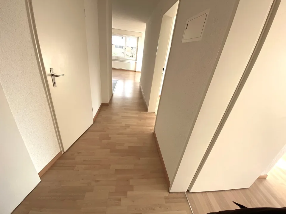Spacious, beautiful apartment