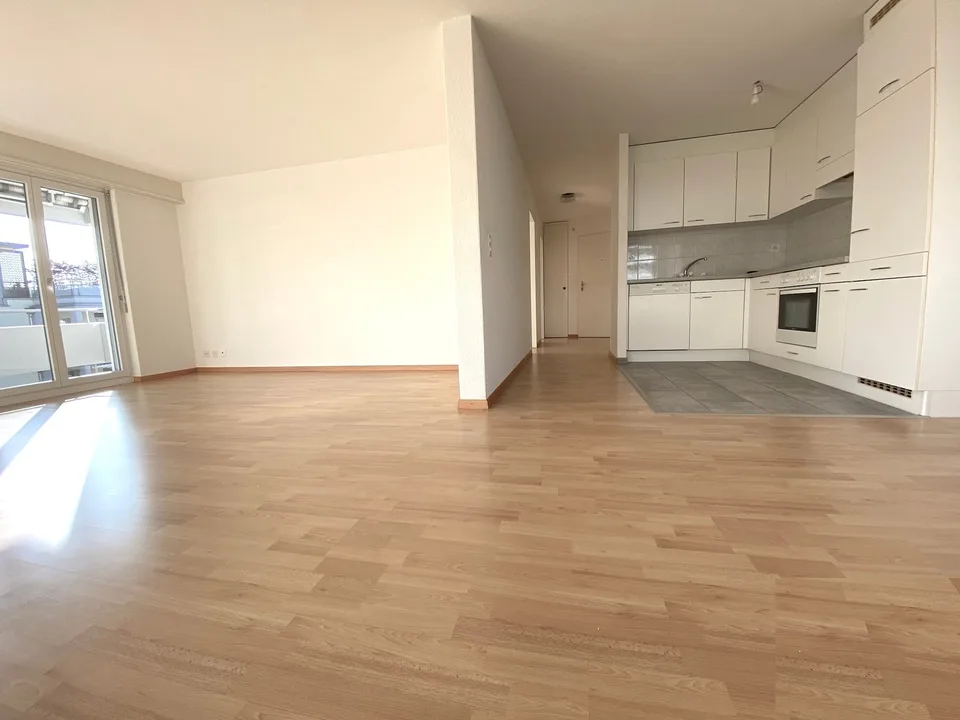 Spacious, beautiful apartment