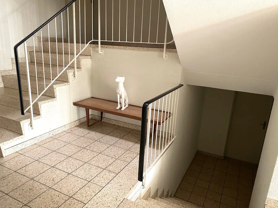 Spacious, beautiful apartment