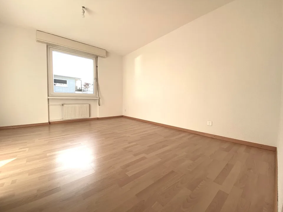 Spacious, beautiful apartment