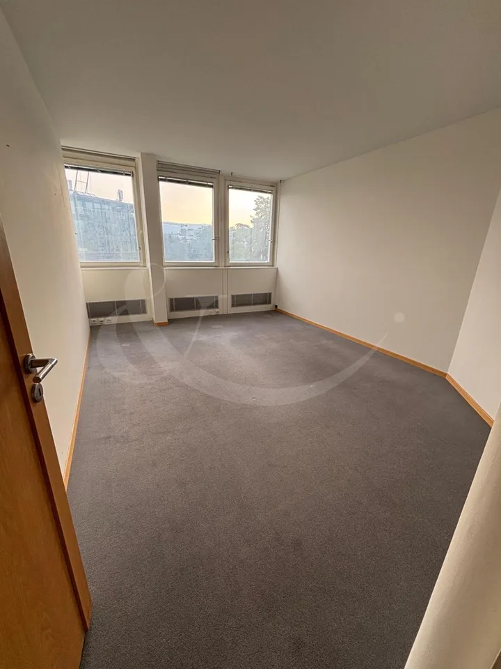Rue Adrien-Lachenal 26, surface commerciale de 300m² – photo 2 sur 4