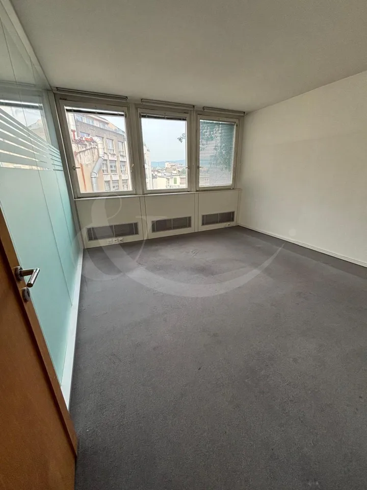 Rue Adrien-Lachenal 26, surface commerciale de 300m² – photo 3 sur 4