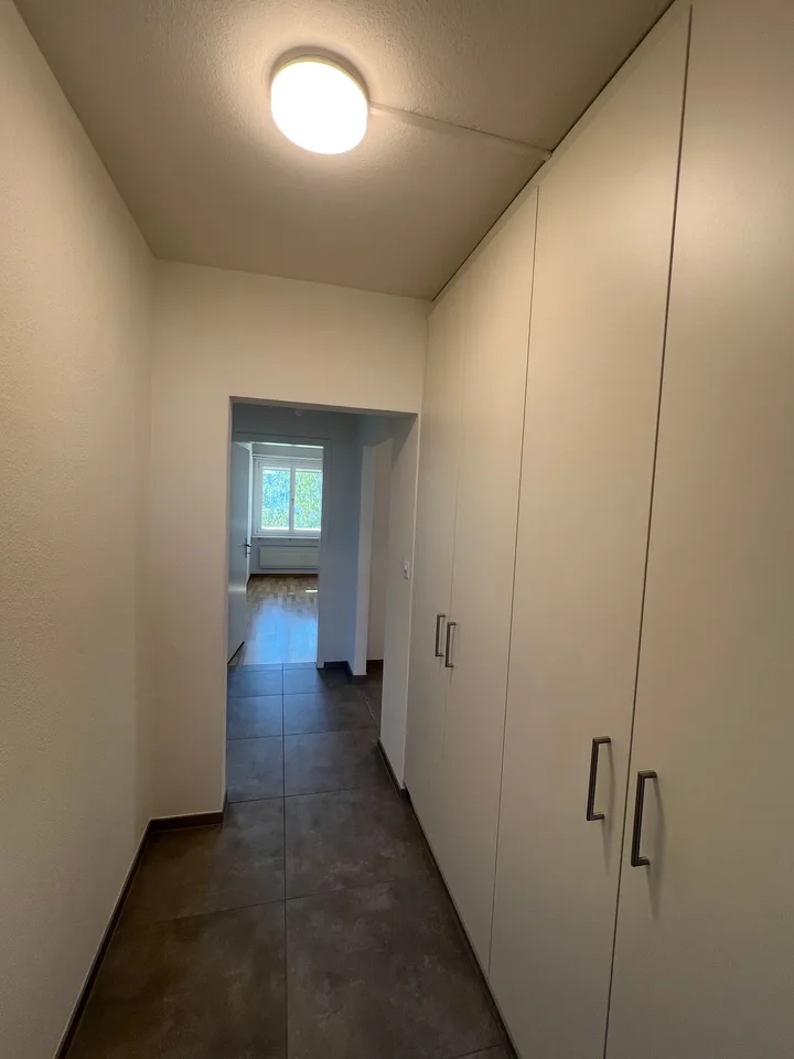 Cozy and renovated 4-room apartment in Thun – photo 3 of 8