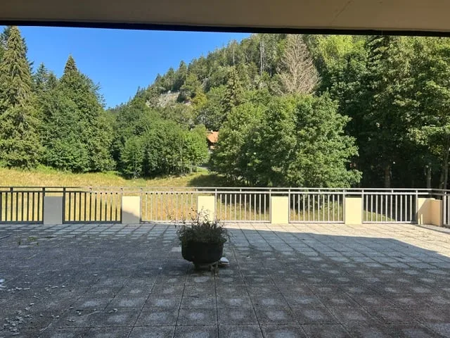 Vier-Zimmer-Wohnung im Erdgeschoss - hell mit Balkon und schöner Aussicht in Saint-Cergue