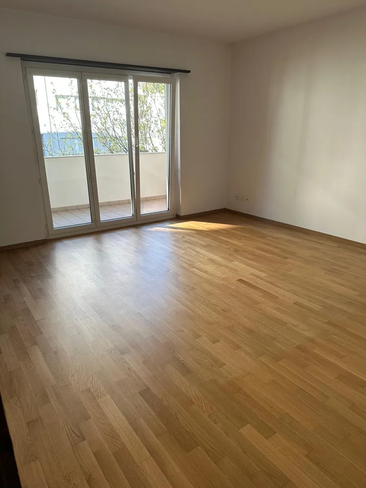 4,5 Zimmer in Tenero