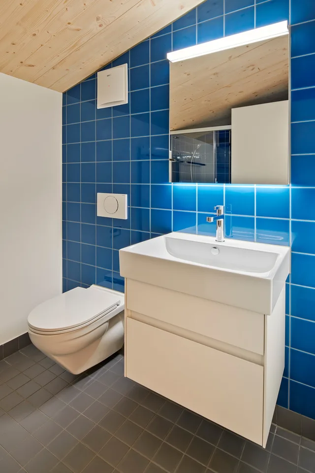 Old Post Wilen - exclusive penthouse apartment with lake view