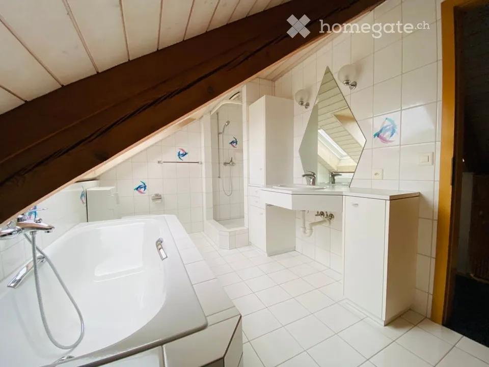 Appartement duplex/maisonette à Erlinsbach AG