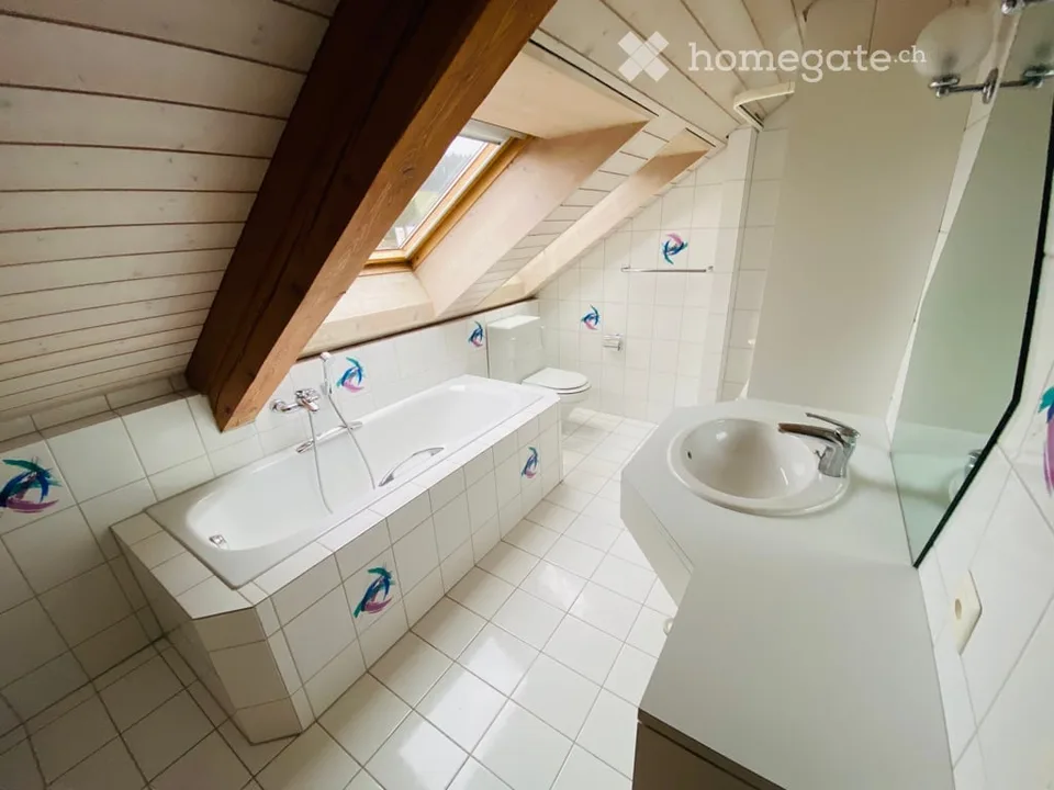 Appartement duplex/maisonette à Erlinsbach AG