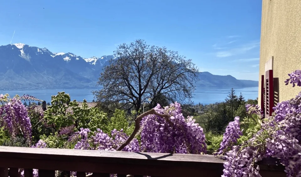 Charmantes Haus in Brent mit einer atemberaubenden Aussicht auf den Genfersee – Foto 8 von 10