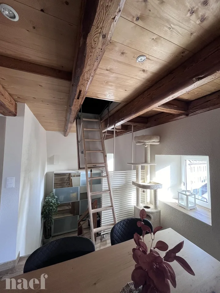 Meraviglioso appartamento di 3.5 locali vicino al centro città – foto 6 di 17