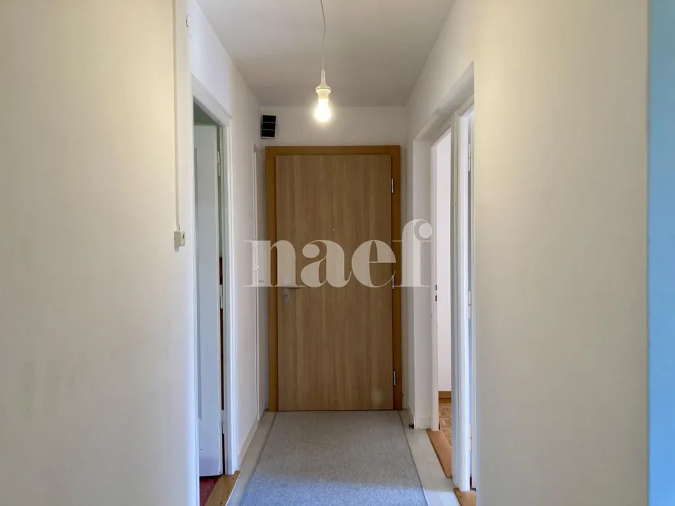 Incantevoli 4.5 locali, ambiente verde Lilas-Blancs