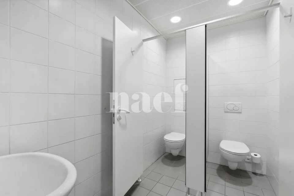 Résidence de Précossy - Magnifique surface modulable d'env. 333 m2 au 1er étage – photo 7 sur 7