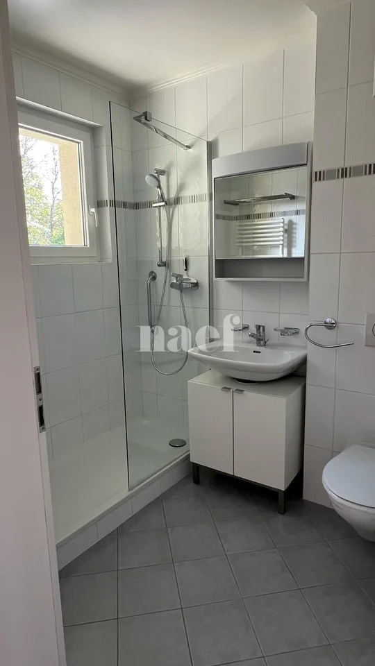 Schönes 3-Zimmer-Apartment im 2. Stock mit großem Balkon