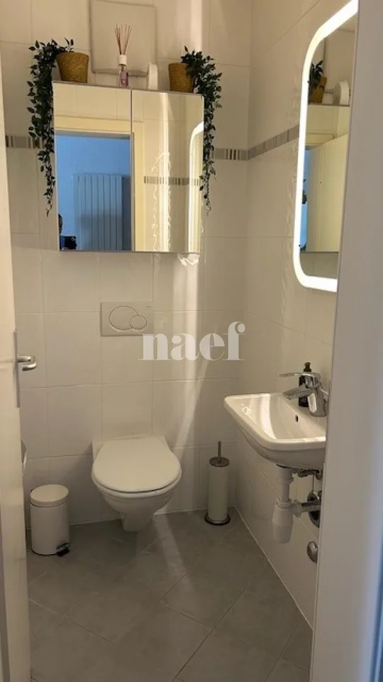 Schönes 3-Zimmer-Apartment im 2. Stock mit großem Balkon