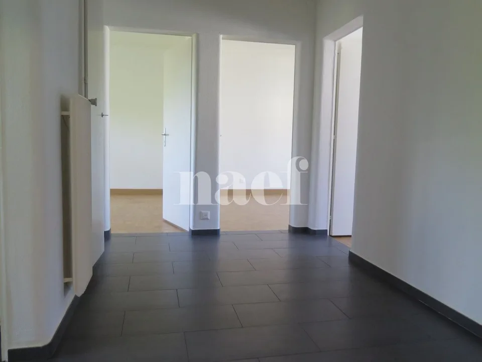 Wohnung mit 4 Zimmern und großem Balkon renoviert