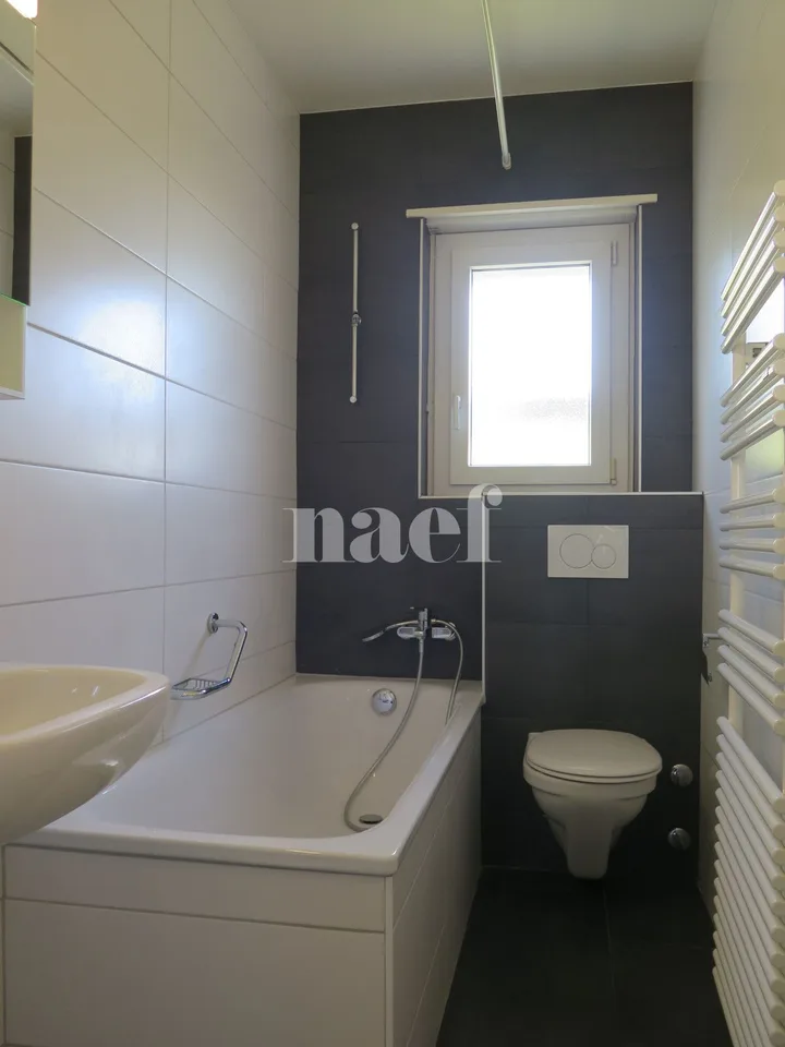 Wohnung mit 4 Zimmern und großem Balkon renoviert