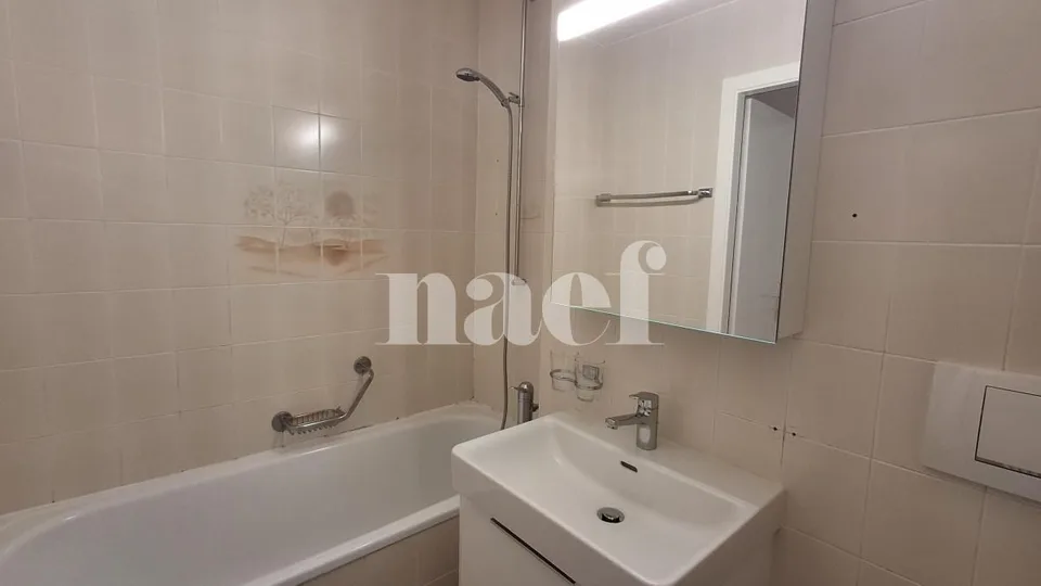 Renovated apartment