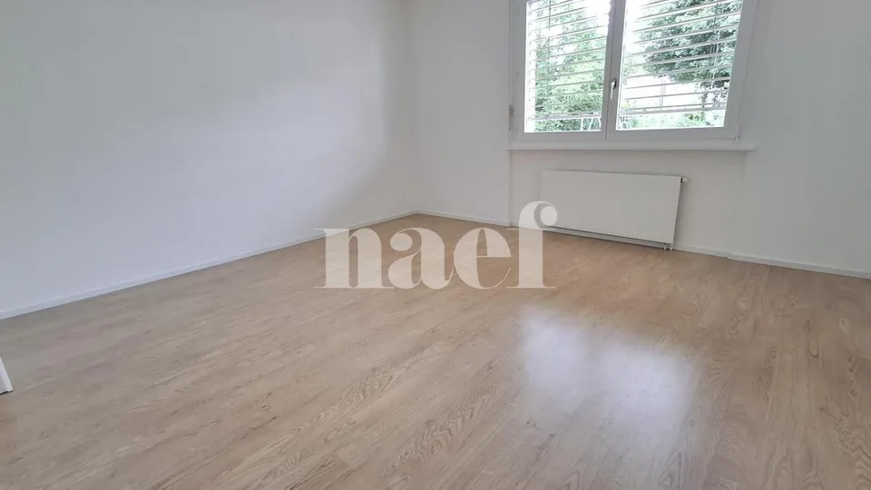 Renovated apartment