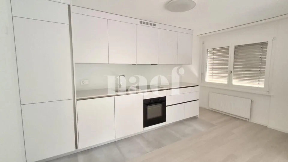 Renovated apartment